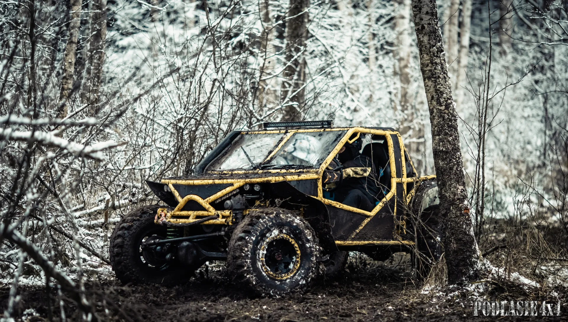 Duch Puszczy X — zdjęcie 31