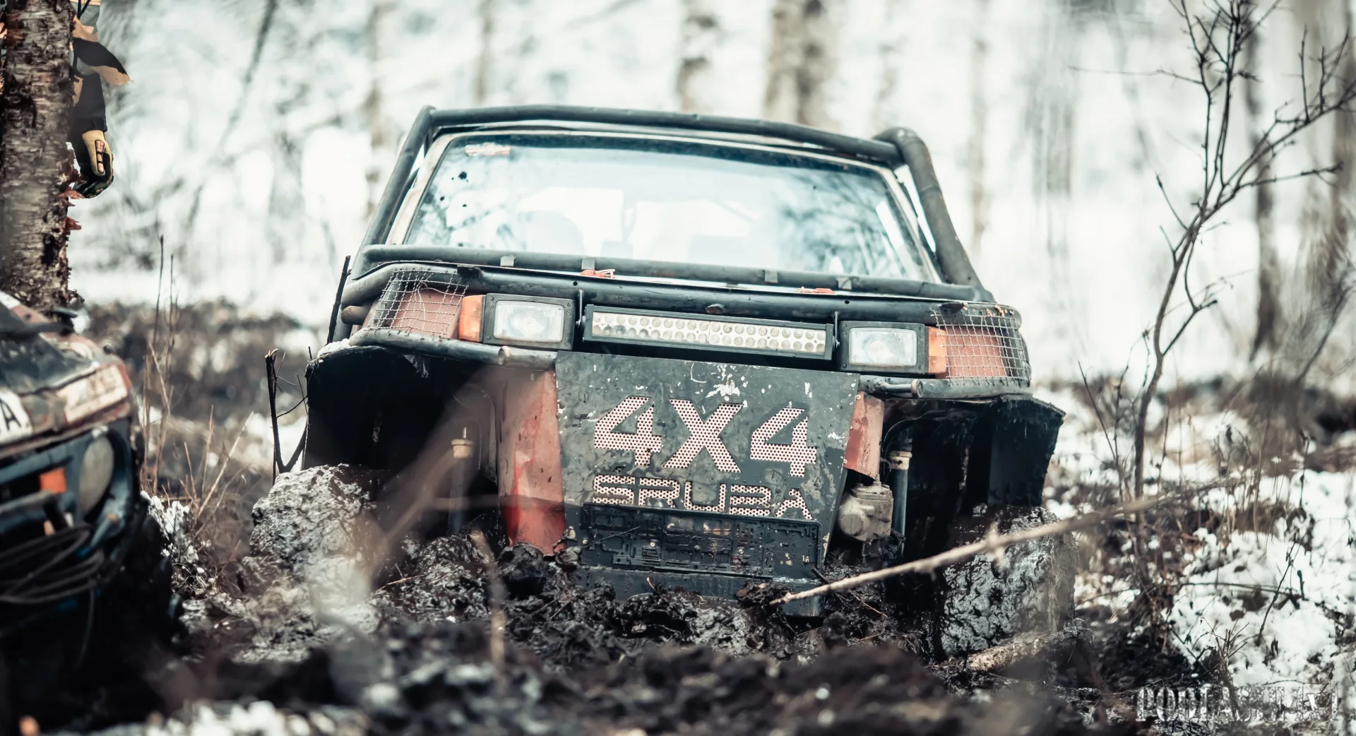 Duch Puszczy X — zdjęcie 1