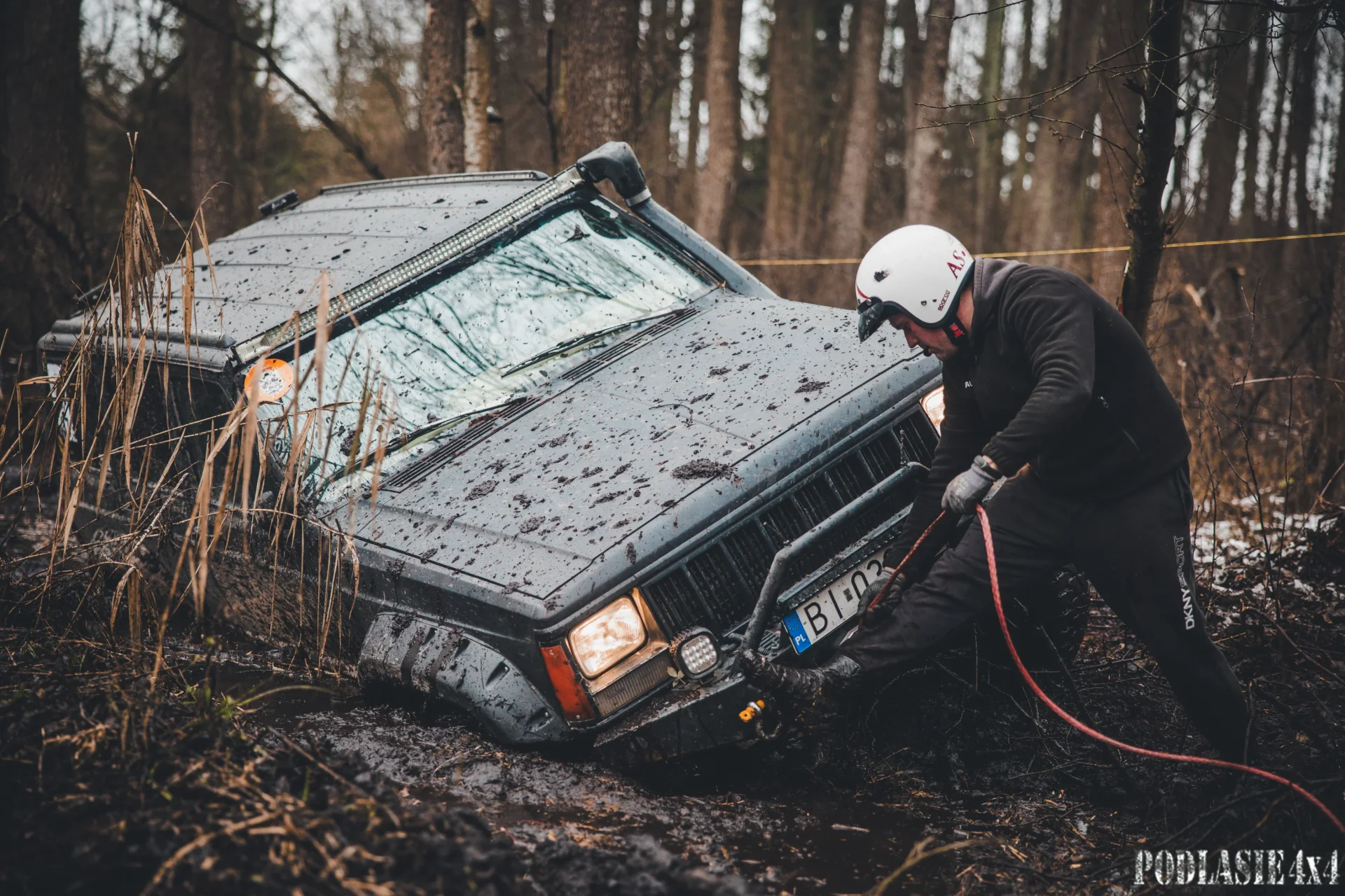 Duch Puszczy XII — zdjęcie 8