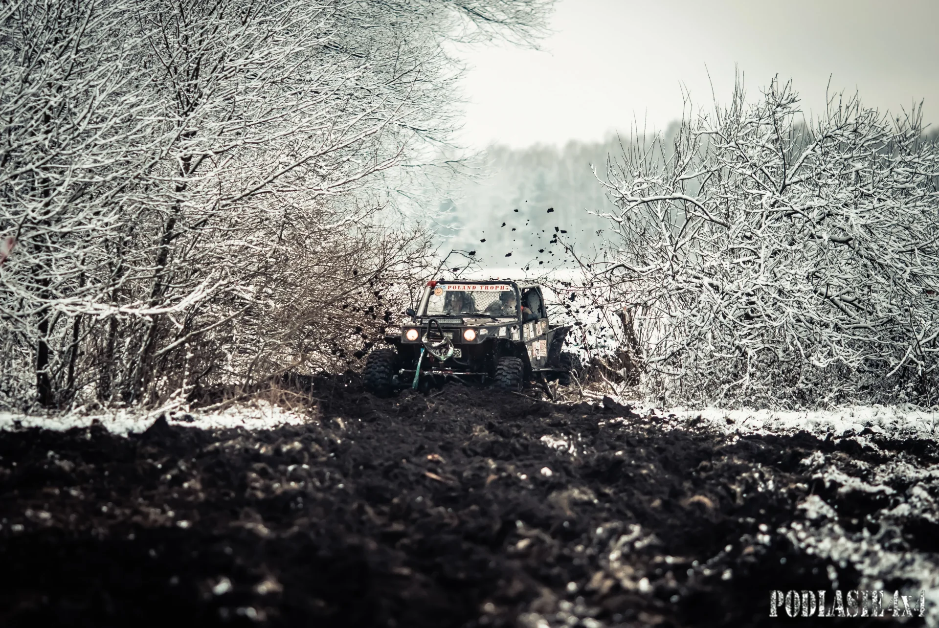 Duch Puszczy X — zdjęcie 42
