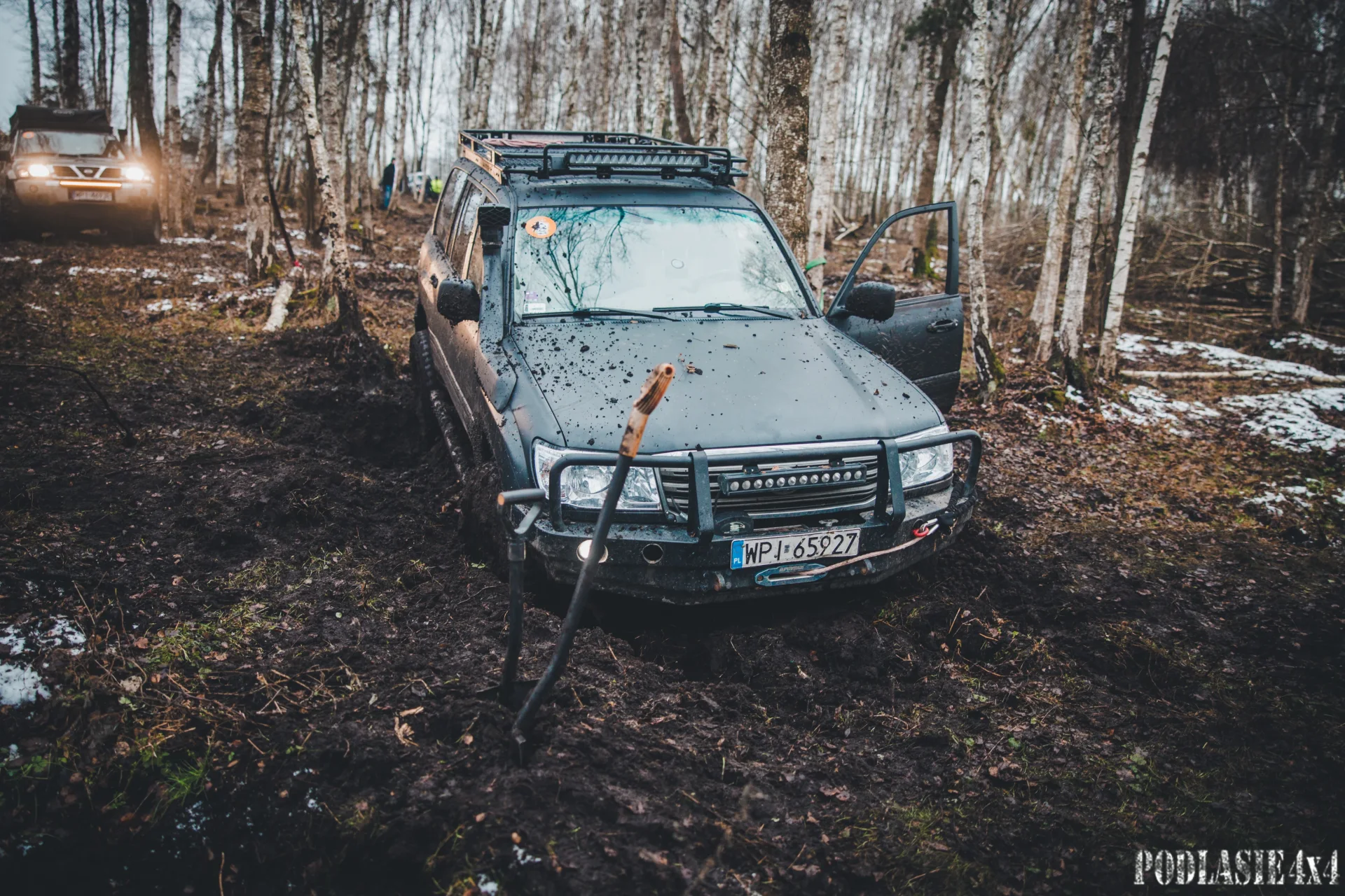 Duch Puszczy XII — zdjęcie 27