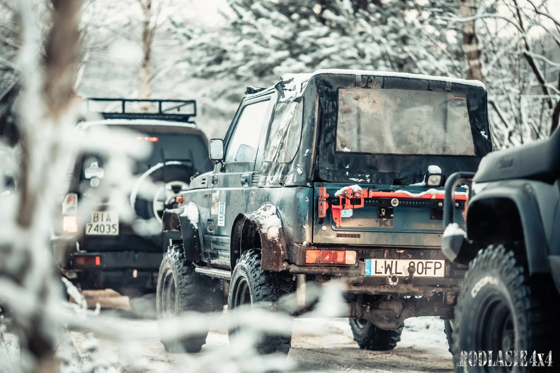 Duch Puszczy X — zdjęcie 31