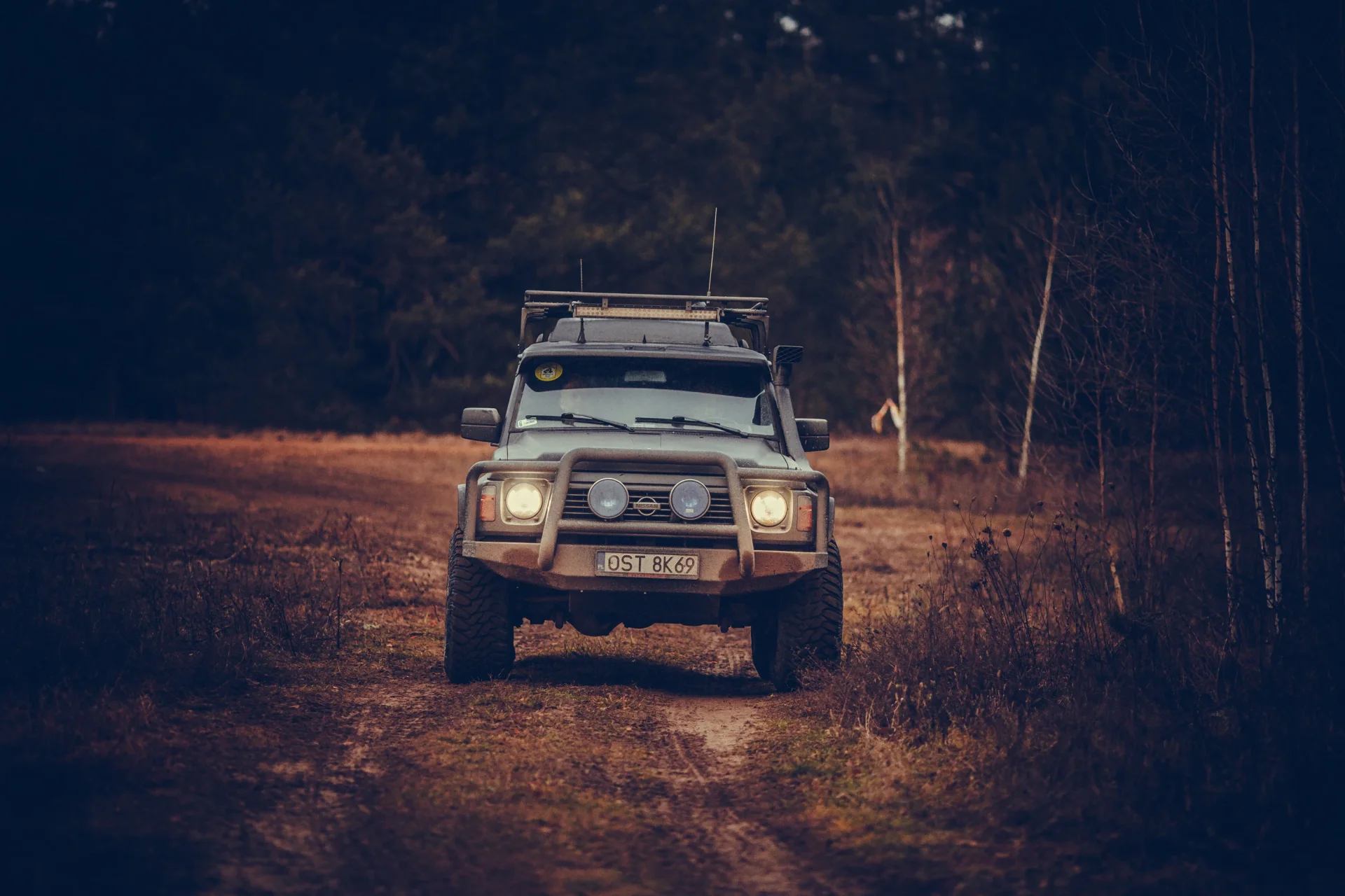 Duch Puszczy XI — zdjęcie 42