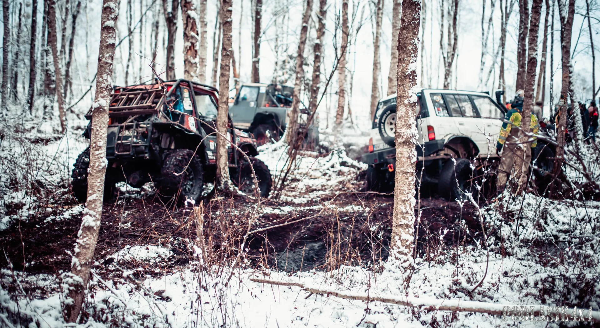 Duch Puszczy X — zdjęcie 16