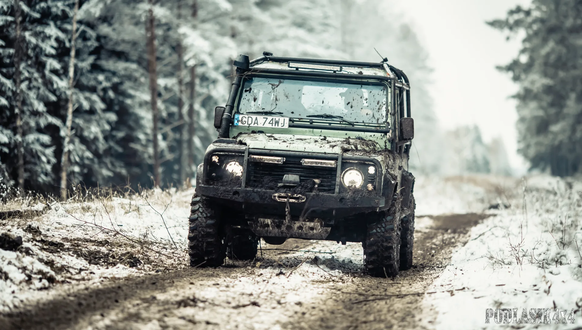 Duch Puszczy X — zdjęcie 10