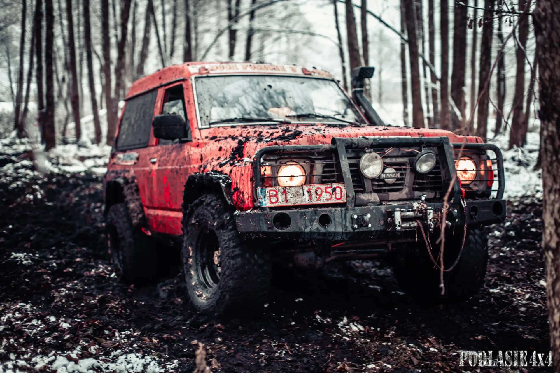 Duch Puszczy X — zdjęcie 4