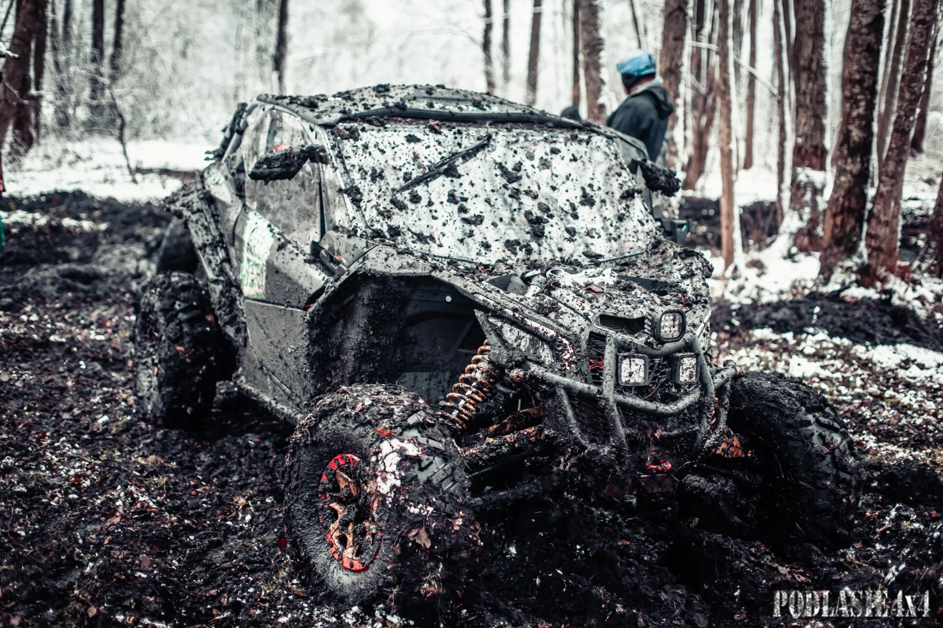 Duch Puszczy X — zdjęcie 29