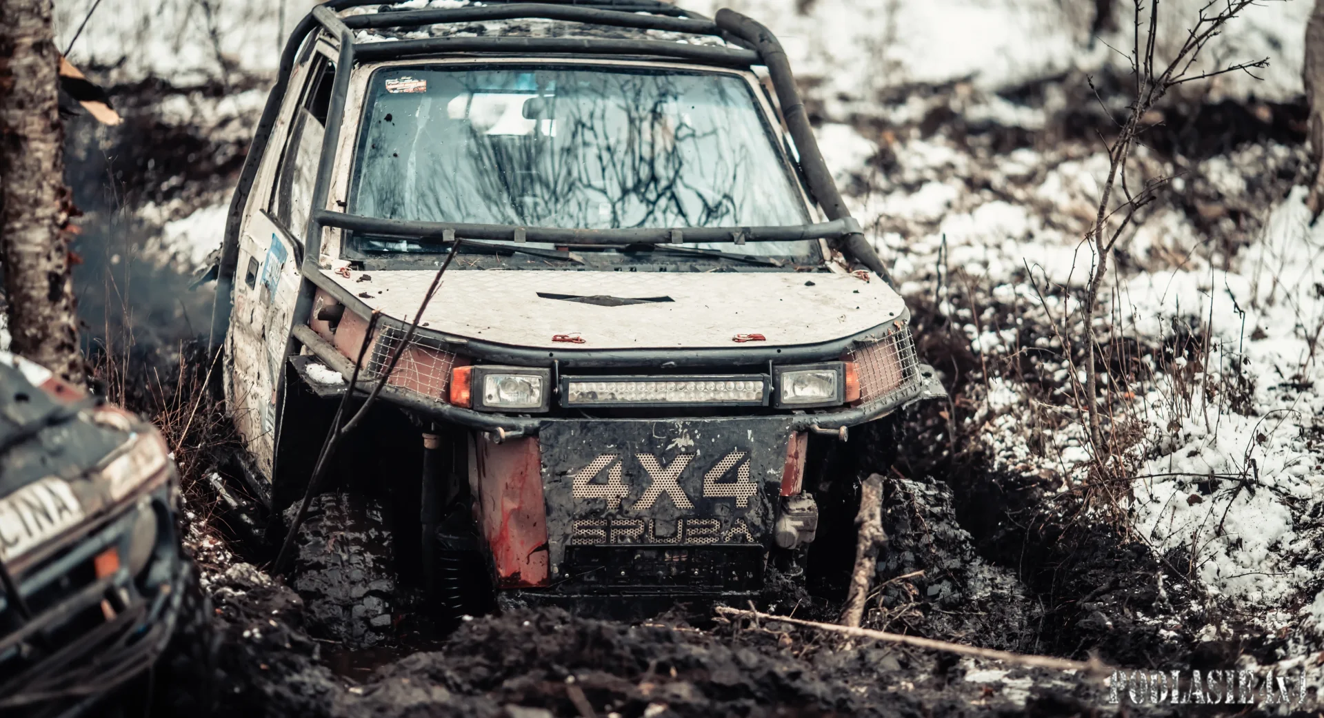 Duch Puszczy X — zdjęcie 38