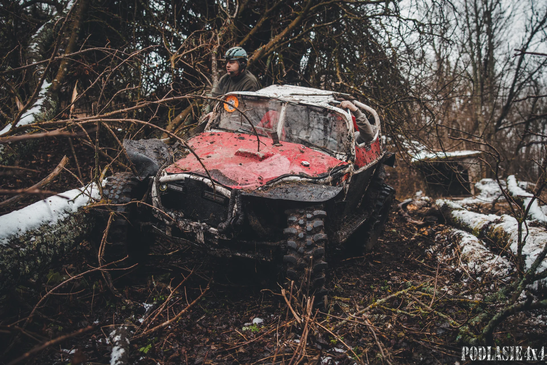 Duch Puszczy XII — zdjęcie 26