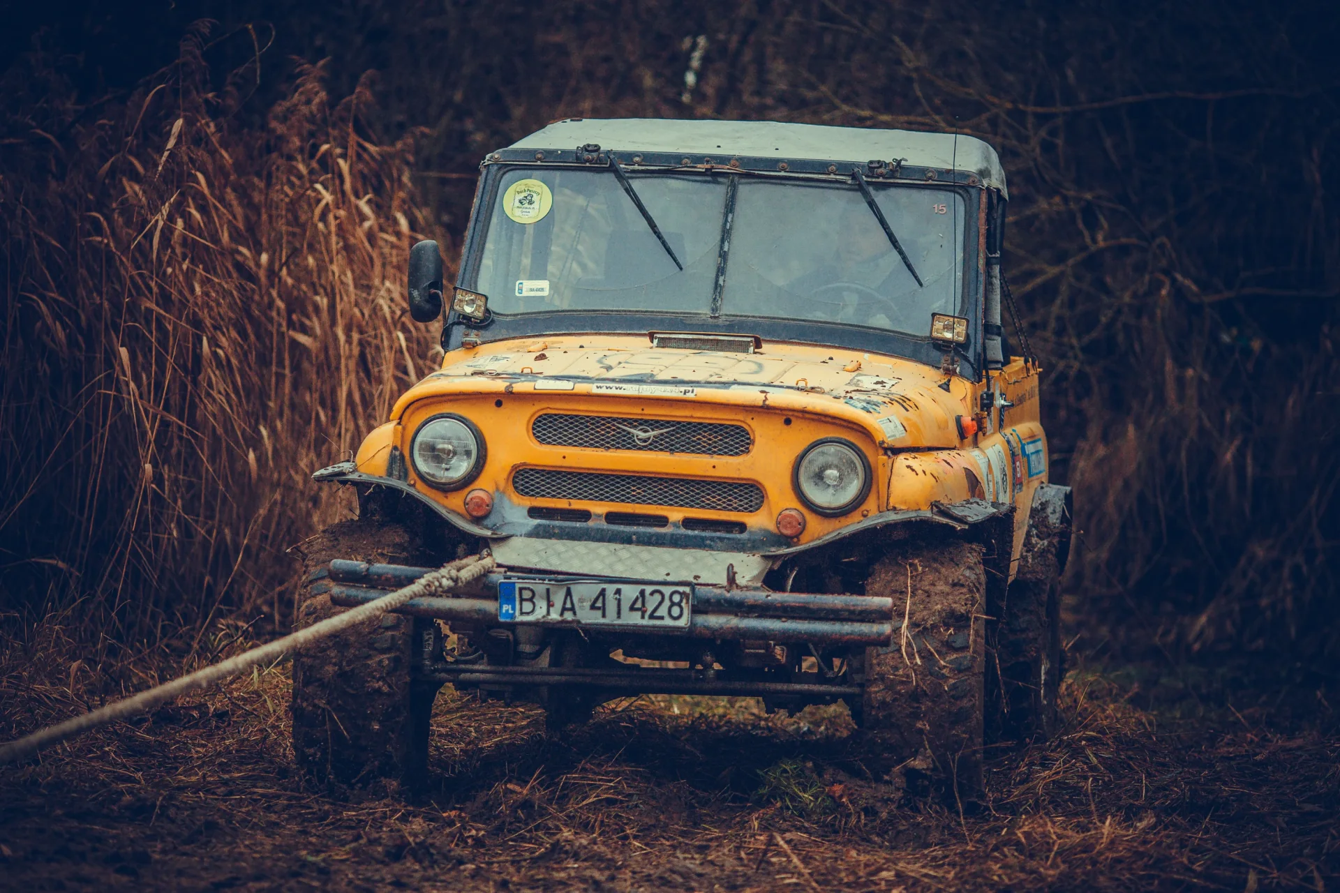 Duch Puszczy XI — zdjęcie 44