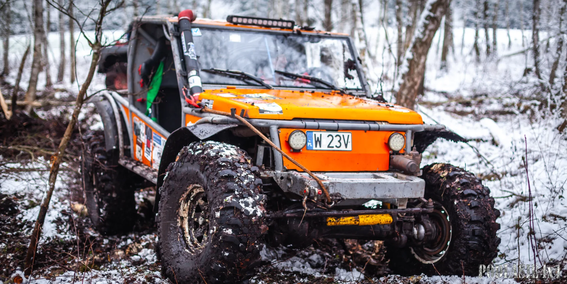 Duch Puszczy X — zdjęcie 13