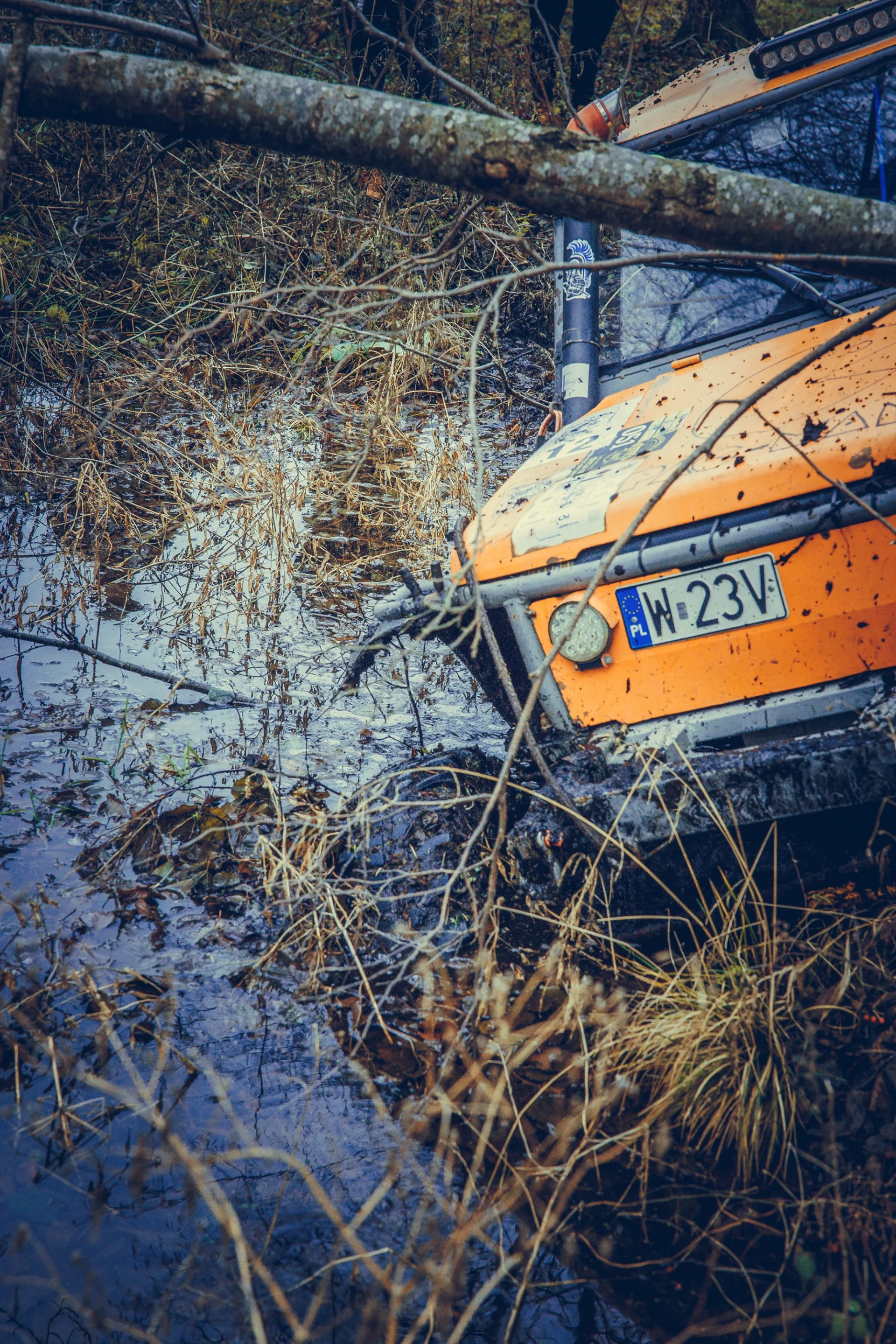 Duch Puszczy XI — zdjęcie 40