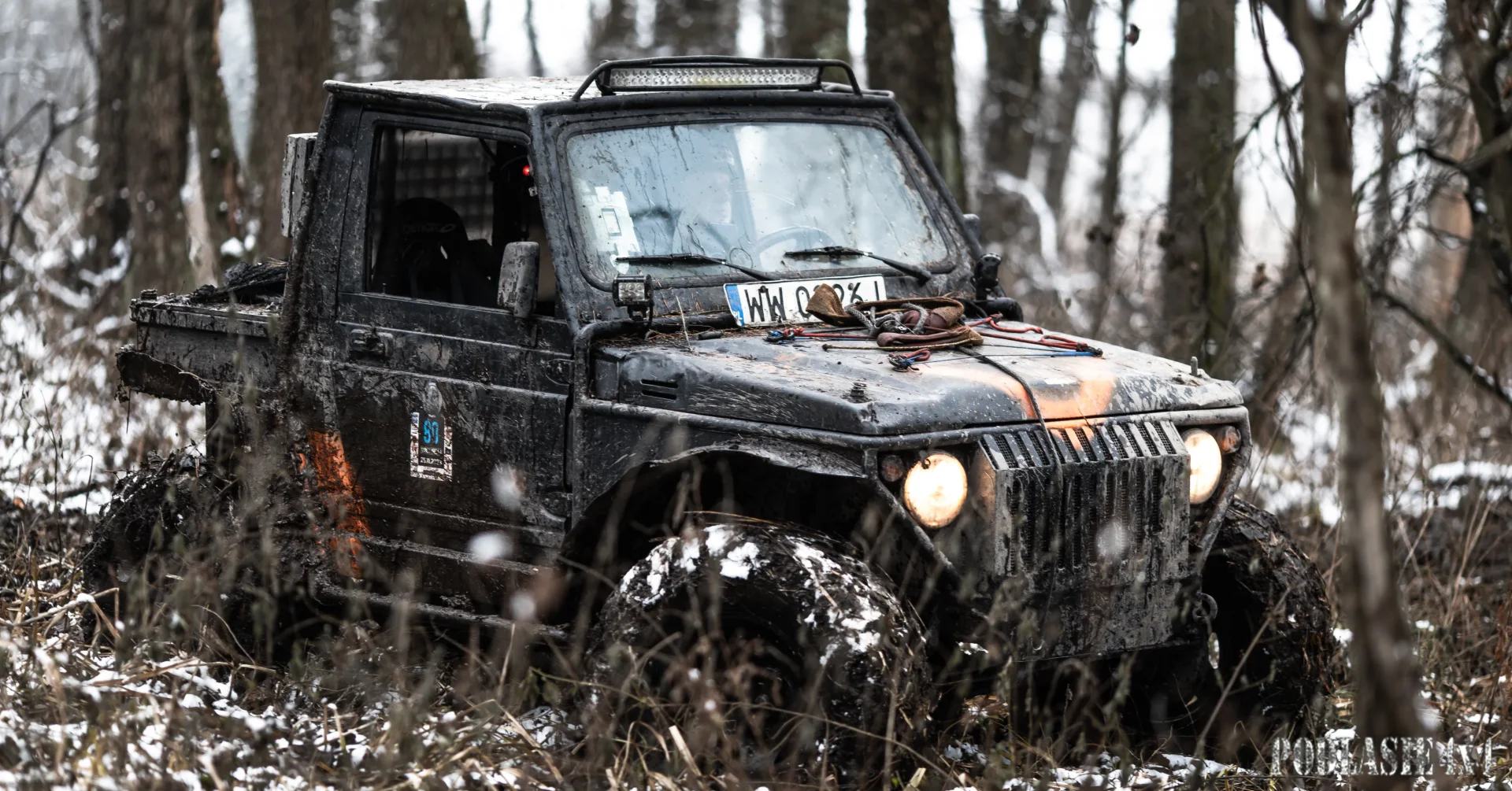 Duch Puszczy X — zdjęcie 12