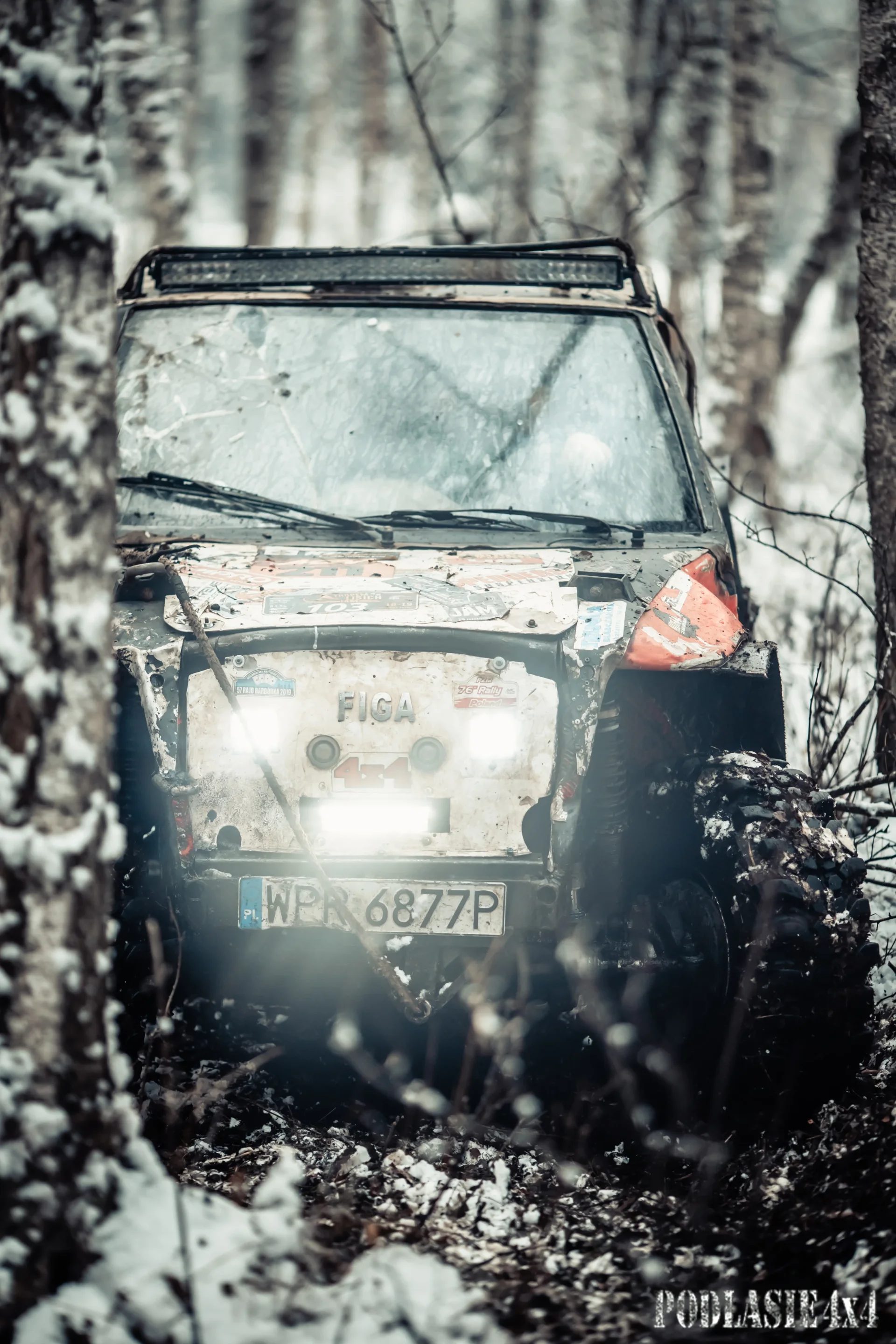 Duch Puszczy X — zdjęcie 38